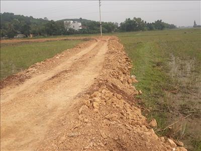 Nghệ An:  Dự án khu chia lô đất ở xuất hiện dấu hiệu thi công “ẩu”