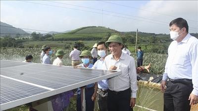 Ưu tiên phát triển năng lượng tái tạo tại Nghệ An