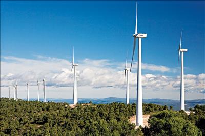 Hãng Voltalia xây dựng trang trại điện gió ở Brazil