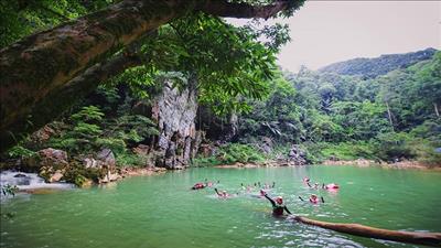 Quảng Bình phê duyệt đề án du lịch sinh thái, nghỉ dưỡng khu vực rừng Tú Làn