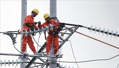 EVNSPC tăng cường củng cố lưới điện trước mùa mưa bão