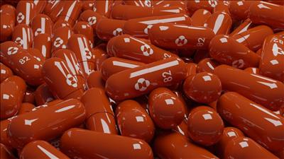 EU chính thức cho phép sử dụng thuốc chống COVID của Merck