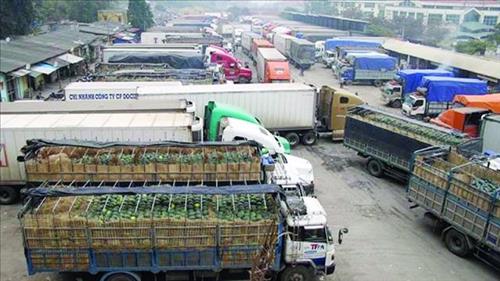 Hà Nội kết nối logistics thúc đẩy tiêu thụ, xuất khẩu nông sản