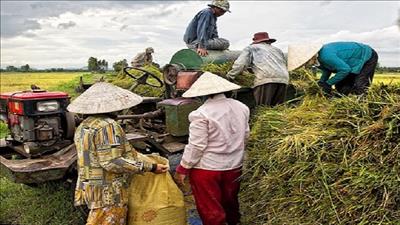 Việt Nam – Hà Lan hợp tác hướng tới hệ thống lương thực bền vững