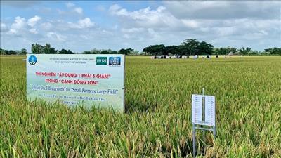 WB vinh danh dự án Chuyển đổi nông nghiệp bền vững tại Việt Nam