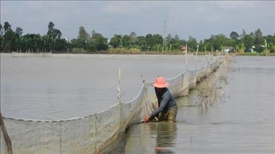 Quản lý, bảo vệ tài nguyên nước trên địa bàn thành phố Cần Thơ và đồng bằng sông Cửu Long