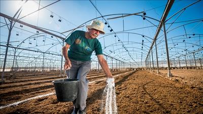 Mở rộng ứng dụng công nghệ hiện đại trong nông nghiệp của Israel tại ASEAN