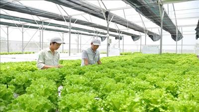 Australia thêm dự án hỗ trợ Việt Nam phát triển nông nghiệp công nghệ cao