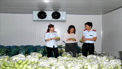 Hà Nội nâng cao chất lượng nông lâm thủy sản, đảm bảo an toàn thực phẩm