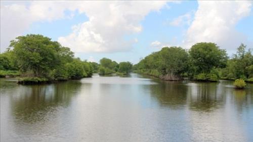 Trao đổi giải pháp quản lý nguồn nước vùng đồng bằng sông Cửu Long