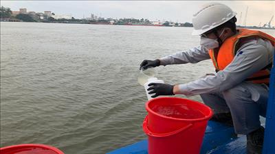 Đồng Nai tăng cường quản lý nguồn xả thải vào lưu vực sông Thị Vải