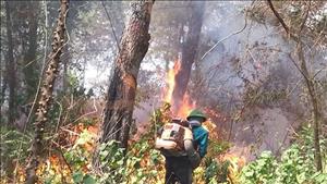 Triển khai các biện pháp cấp bách phòng cháy, chữa cháy rừng