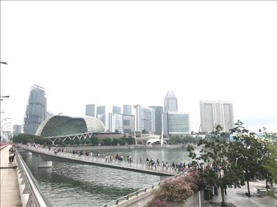 Xây dựng thành phố xanh như Singapore
