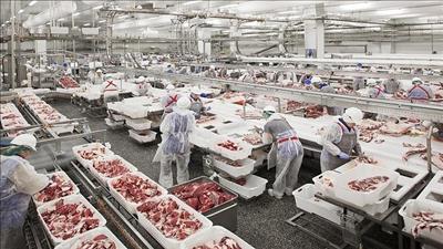 Việt Nam nhập khẩu gần 1.500 tấn thịt lợn từ Nga