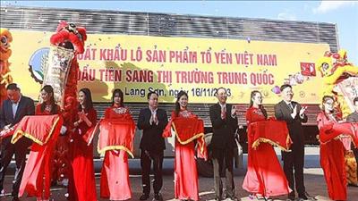 Tổ yến Việt Nam chính thức được xuất khẩu sang Trung Quốc