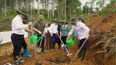 Bắc Kạn hưởng ứng chiến dịch trồng rừng, phục hồi rừng