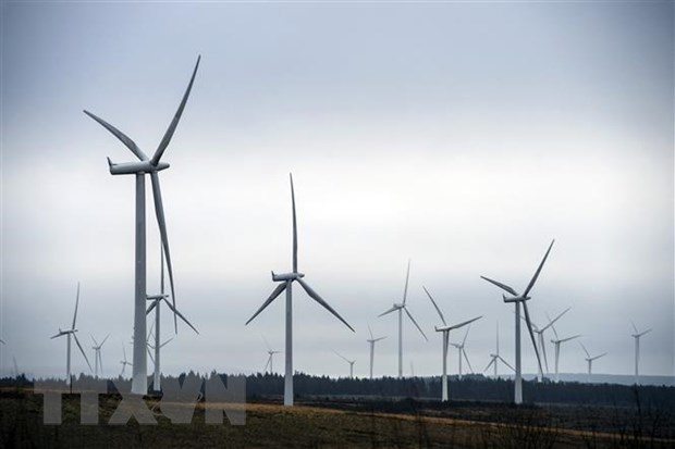IEA: Công suất năng lượng tái tạo sẽ tăng gần gấp đôi trong 5 năm tới