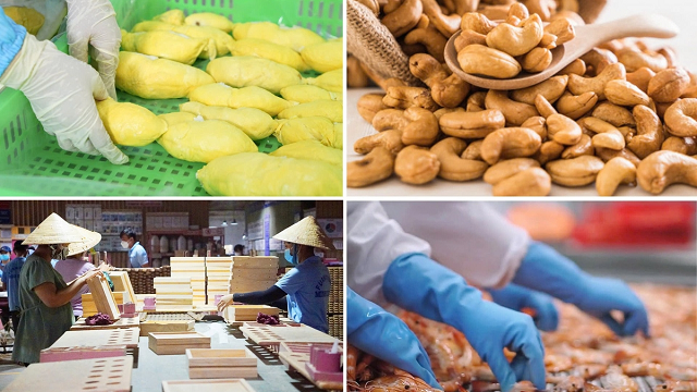 Tổng giá trị xuất khẩu nông, lâm, thủy sản trong 8 tháng ước đạt gần 49,31 tỷ USD