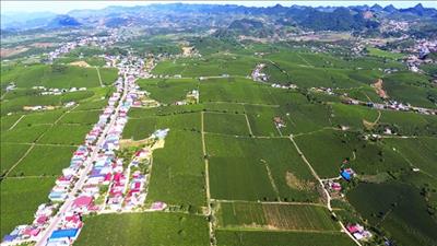 Sơn La phê duyệt quy hoạch phân khu trung tâm thị trấn Nông trường Mộc Châu