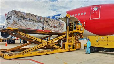 13 tấn trang thiết bị y tế viện trợ của Thụy Sỹ đã về đến Việt Nam