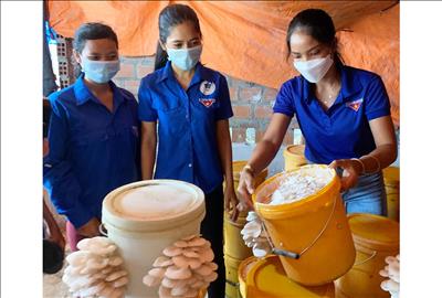 Cô gái Gia Lai đưa mô hình trồng nấm sạch về làng