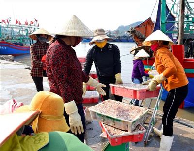 Nghệ An: Phê duyệt quy hoạch dự án Cảng thủy nội địa tổng hợp Quỳnh Lộc