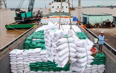 Cơ hội để Việt Nam tăng thị phần xuất khẩu gạo sang Trung Quốc