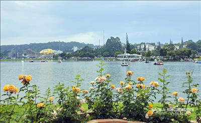 “Thiên đường du lịch” Lâm Đồng chào đón những du khách đầu tiên năm mới 