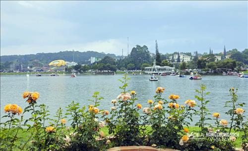 “Thiên đường du lịch” Lâm Đồng chào đón những du khách đầu tiên năm mới 