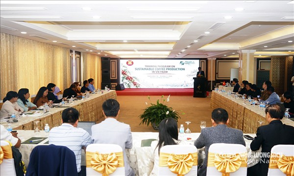 Sản xuất cà phê bền vững cho các nước ASEAN  
