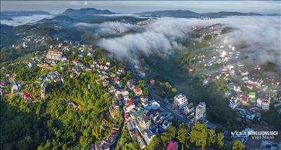 “Bản giao hưởng xanh”- thương hiệu Lâm Đồng 