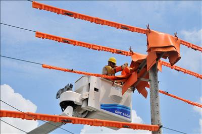 Điện lực miền Nam: Sẵn sàng đảm bảo cấp điện 21 tỉnh phía Nam trong dịp lễ