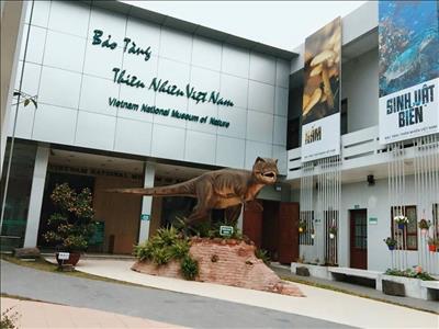 Hà Nội: Phê duyệt đồ án quy hoạch chi tiết Bảo tàng thiên nhiên Việt Nam