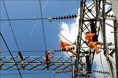 Chuyển đổi số tại EVNSPC: Tăng hiệu quả kinh doanh và chất lượng dịch vụ khách hàng sử dụng điện