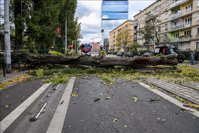 Ba Lan: Bão lớn gây ra nhiều thiệt hại, ít nhất 4 người tử vong 