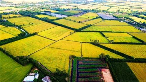 Quy hoạch vùng ĐBSCL thành trung tâm kinh tế nông nghiệp, bền vững năng động