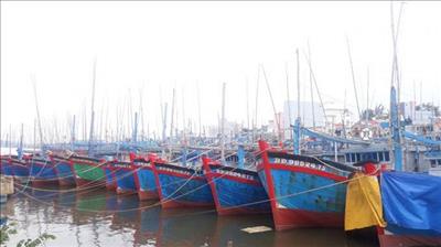 Trà Vinh đầu tư nâng cấp cảng cá Định An