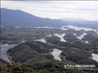 Du lịch Lâm Đồng làm thế nào để kết nối tài nguyên giá trị của hoa-biển và đại ngàn  