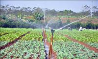 Ngày càng nhiều hợp tác xã ứng dụng công nghệ tưới tiết kiệm nước vào sản xuất nông nghiệp