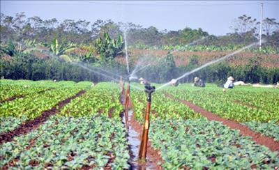 Ngày càng nhiều hợp tác xã ứng dụng công nghệ tưới tiết kiệm nước vào sản xuất nông nghiệp