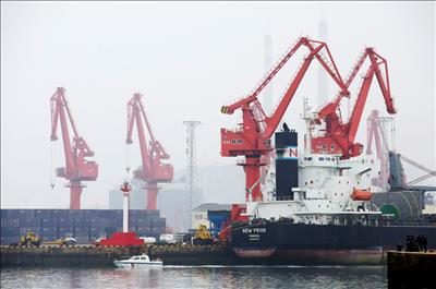 Trung Quốc kiểm tra ảnh hưởng của dầu mỏ, chống lạm phát bằng cuộc đấu giá dự trữ dầu