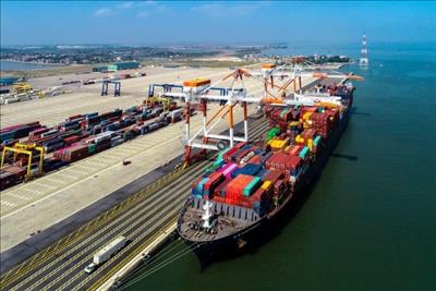 Quyết định xây dựng 2 bến container tại Hải Phòng