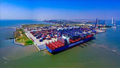 Hải Phòng trao chứng nhận đầu tư hai bến container hơn 6.400 tỷ đồng
