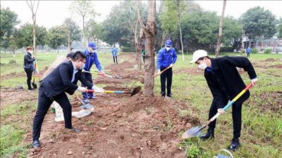 Hà Nội: Trồng mới 100.000 cây xanh hưởng ứng Tết trồng cây