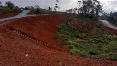 Gia Lai đề xuất mở tuyến đường băng rừng sang Kon Tum