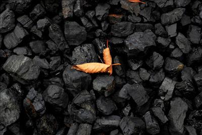 Bồ Đào Nha đóng cửa các nhà máy điện sản xuất bằng than