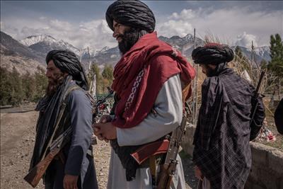 Taliban điều hàng trăm quân tới thành trì phản kháng cuối cùng