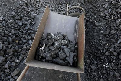 Sản lượng than của Trung Quốc tăng mạnh, dự kiến giá ​​sẽ giảm