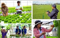 Nông nghiệp Lâm Đồng phát triển toàn diện, bền vững và hiện đại 