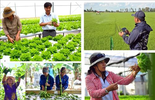 Nông nghiệp Lâm Đồng phát triển toàn diện, bền vững và hiện đại 